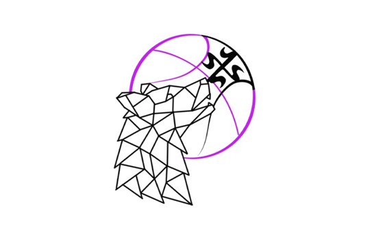 آکادمی بسکتبال دختران چلیپا