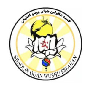 آکادمی ووشو مجید عباسی